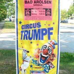 Meet your Posher, Darlene